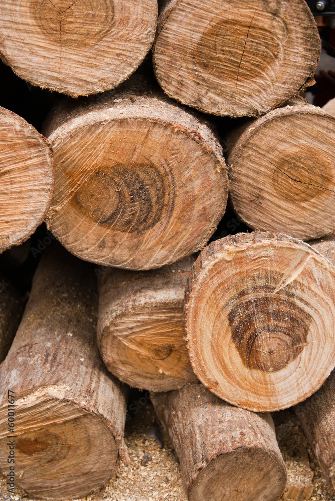 timber timber