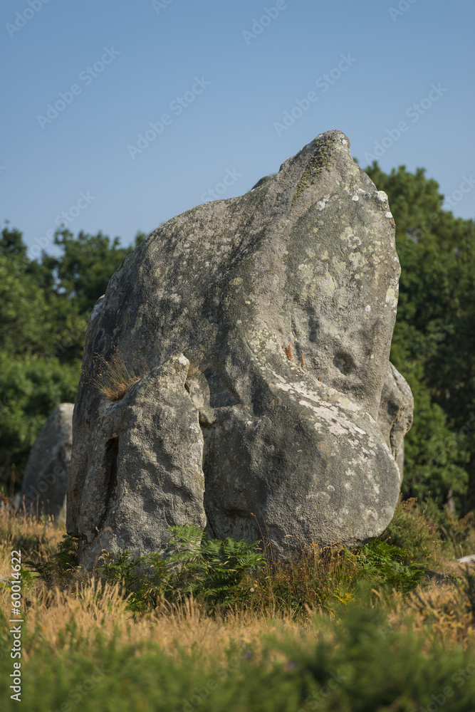 Alignements de Kermario(Menhirs, mégalithes, pierres levées), Alignements de Kermario(Menhirs, mégalithes, pierres levées),