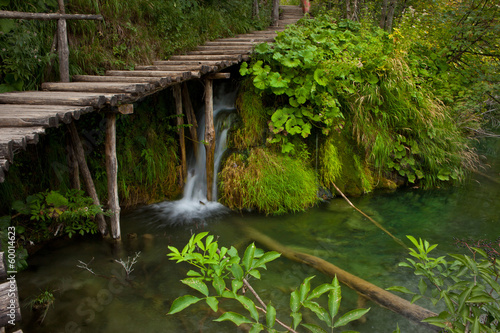 Bridge in deep forest Landscape