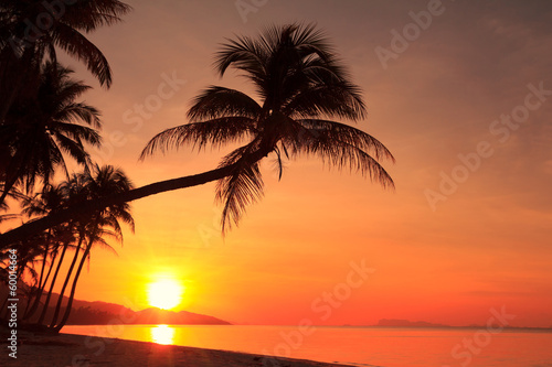 Sunset on tropical island © nevodka.com
