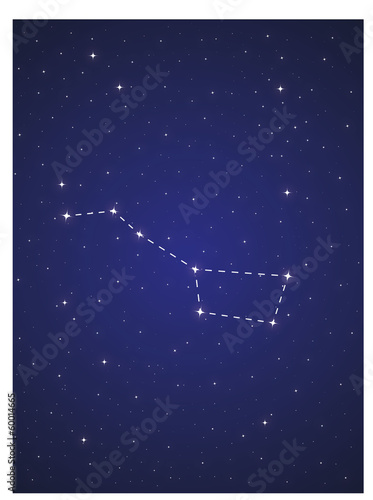 Constellation Ursae Major