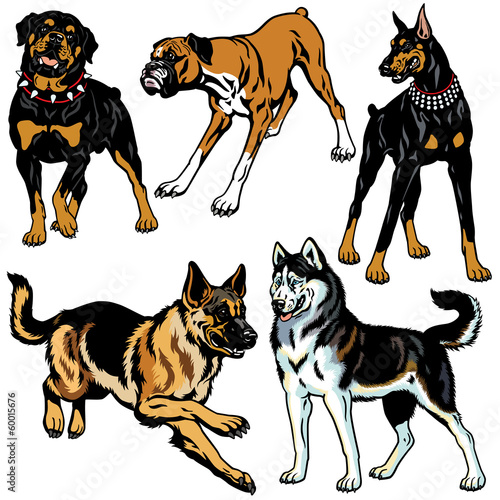 set with dog breeds
