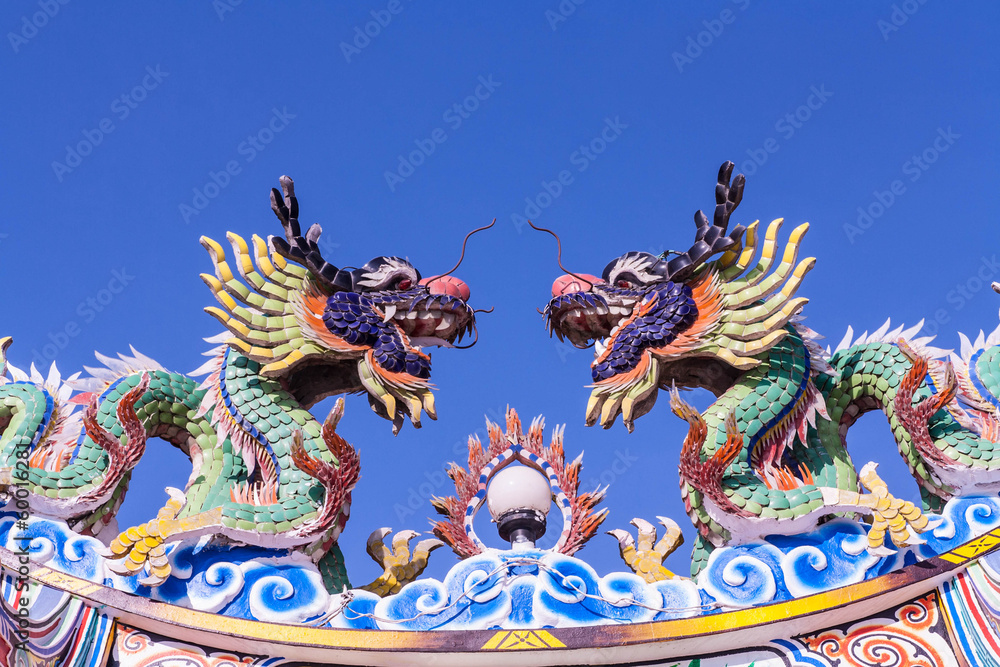 Dragon Dragon