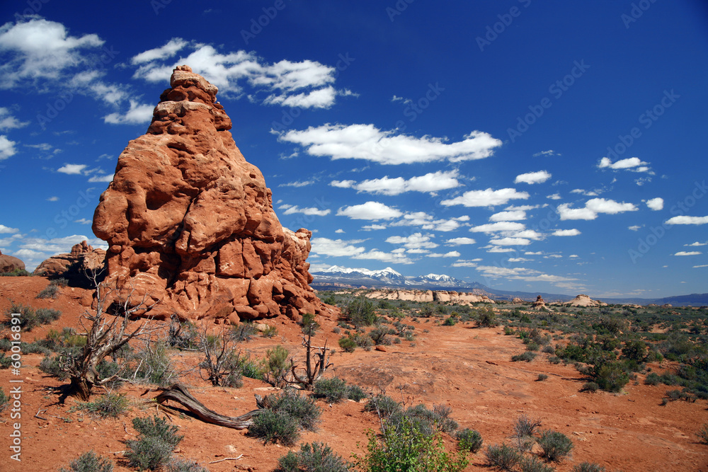 Fototapeta premium Arches National Park near Moab,USA