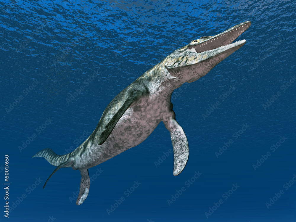 Mosasaurier Tylosaurus StockIllustration Adobe Stock