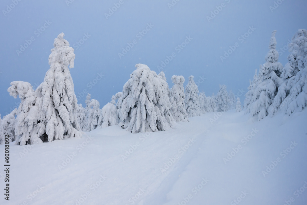 winter landscape, Orlicke Mountains, Czech Republic winter landscape, Orlicke Mountains, Czech Republic