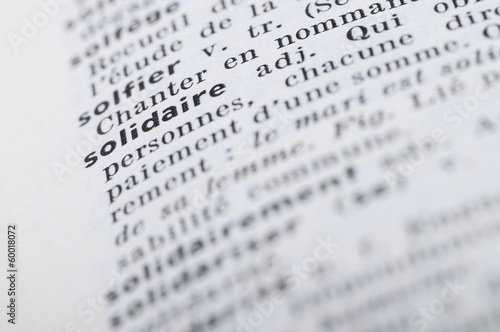 French Dictionary at the word solidary photo