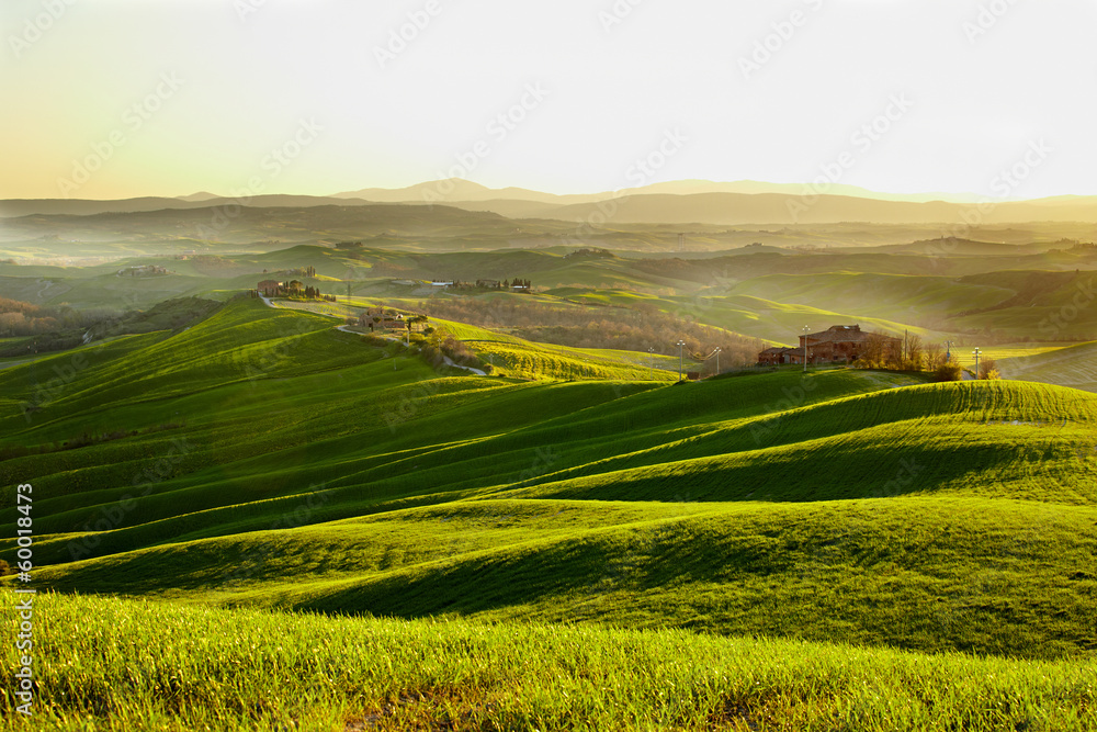 Fototapeta premium Countryside, San Quirico d`Orcia , Tuscany, Italy