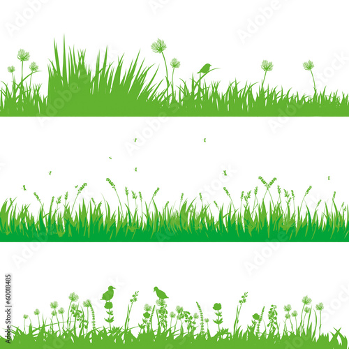 Wiese 0701