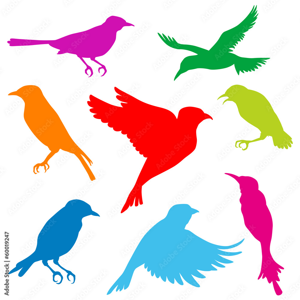 Naklejka premium Small bird silhouette set