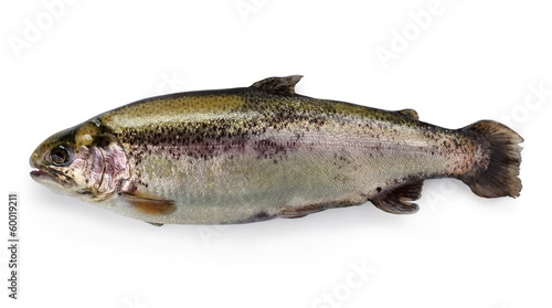 Fresh trout