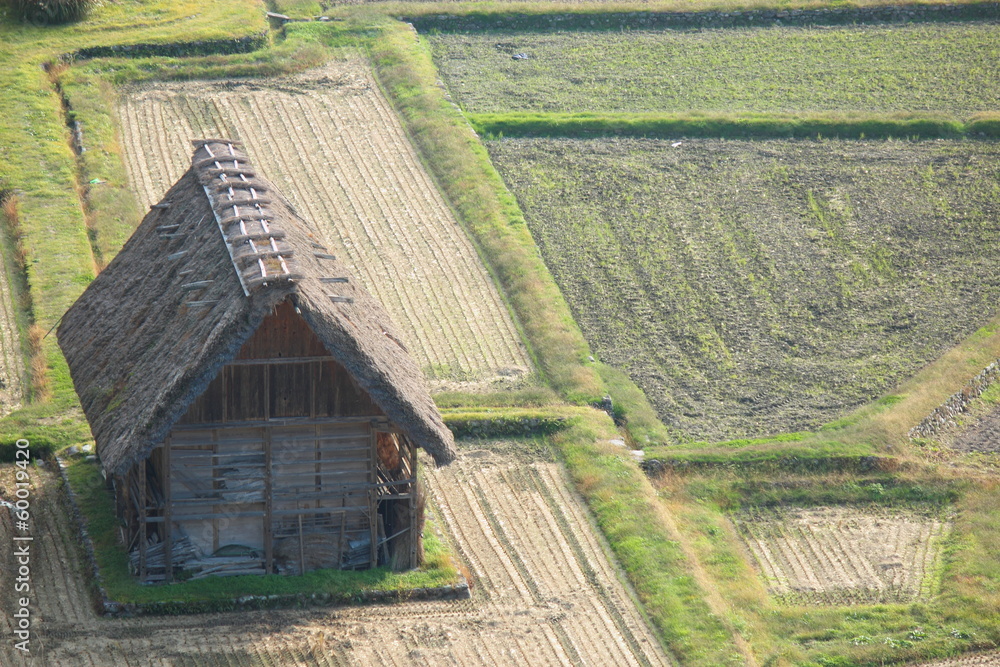 田んぼと木造の小屋 田んぼと木造の小屋