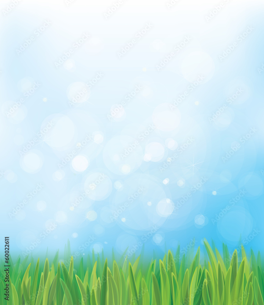 Vector nature background  blue sky and green grass.