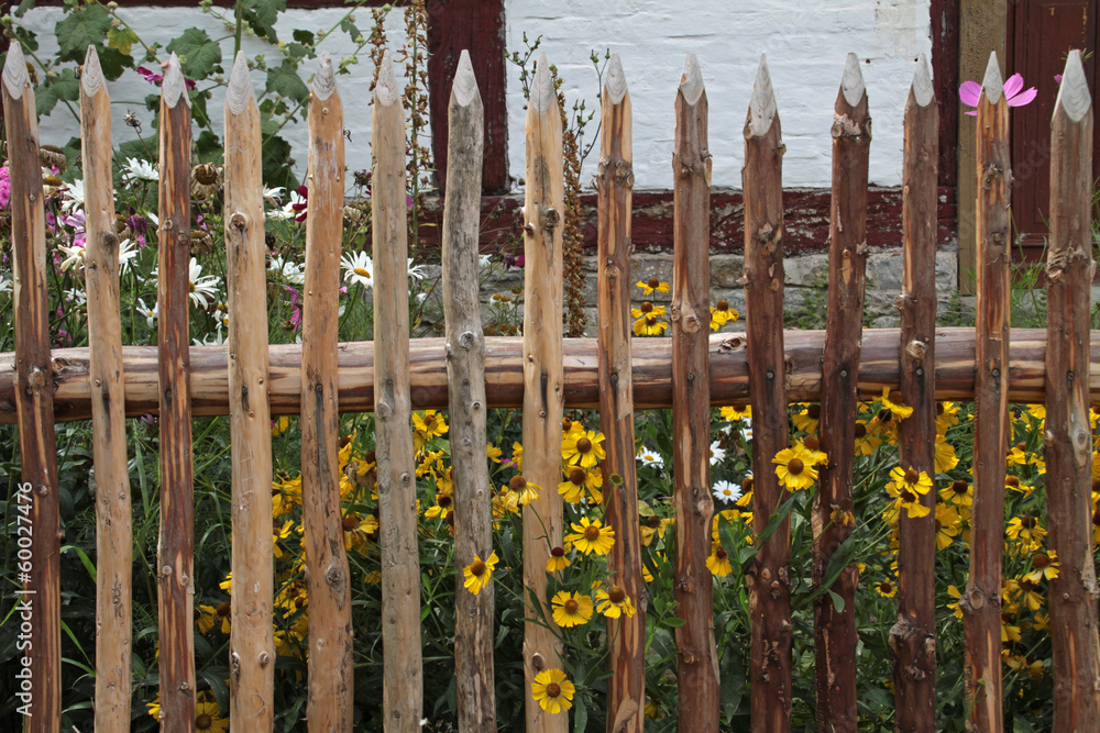 Fachwerkhaus mit Garten Fachwerkhaus mit Garten