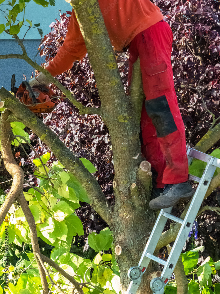 Gärtner bei der Arbeit StockFoto Adobe Stock