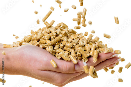 Billede på lærred Hand mit Pellets als alternatie Energie