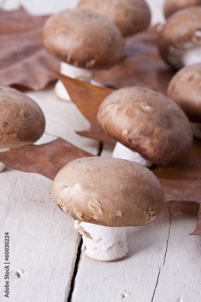 Still life of mushrooms and raw mushrooms Still life of mushrooms and raw mushrooms