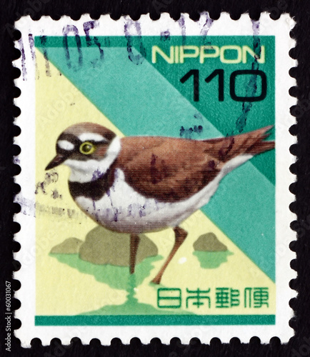 Postage stamp Japan 1992 Plover, Wading Bird