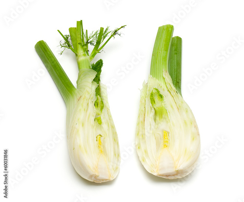 fennel isolated on white background