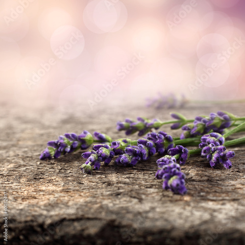 Fototapeta Naklejka Na Ścianę i Meble -  flowers
