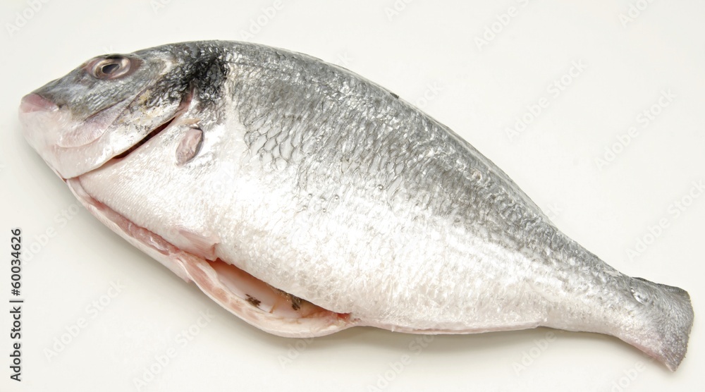 Raw fish Raw fish