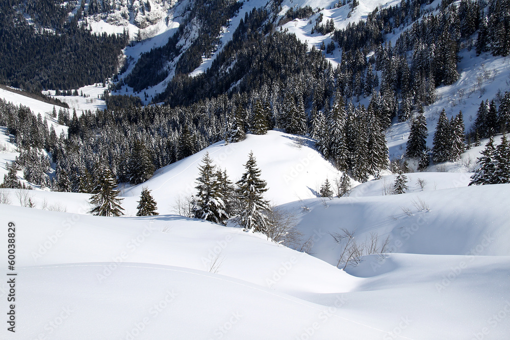 Fototapeta premium Montagne