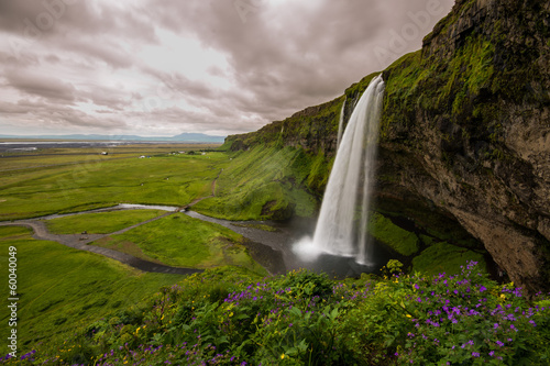 Fototapeta Naklejka Na Ścianę i Meble -  Beautiful Waterfall Seljalandsfoss, Iceland