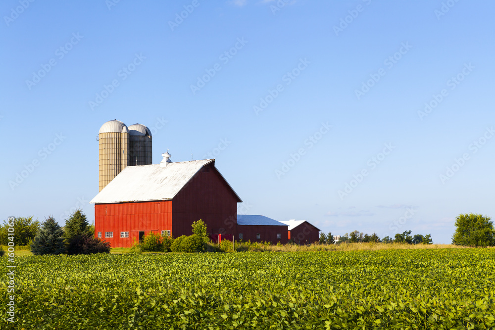 American Farmland With Blue Cloudy Sky