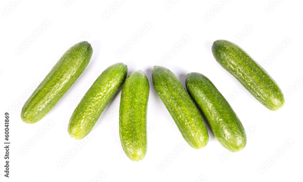 green cucumber green cucumber