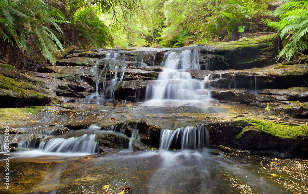 Leura cascades, Blue Mountains, Australia Leura cascades, Blue Mountains, Australia