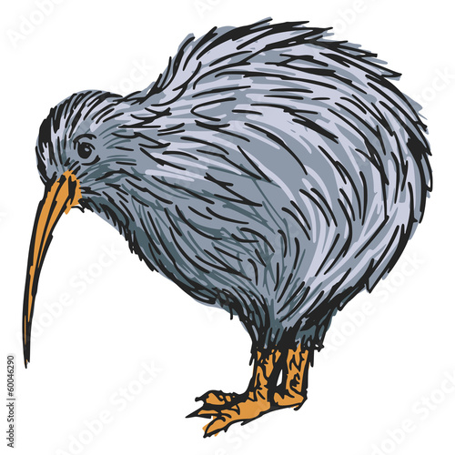 kiwi bird