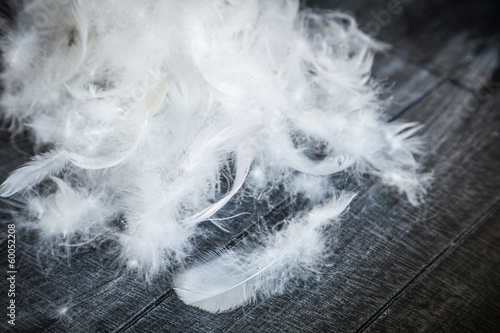 White Down Feathers