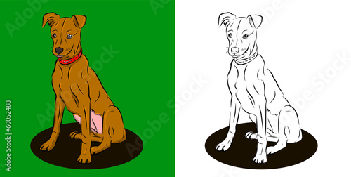 puppy dog sitting on green backgound illustration