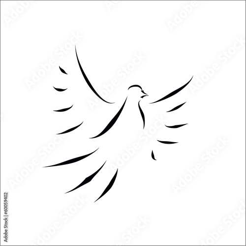 dove sketch vector