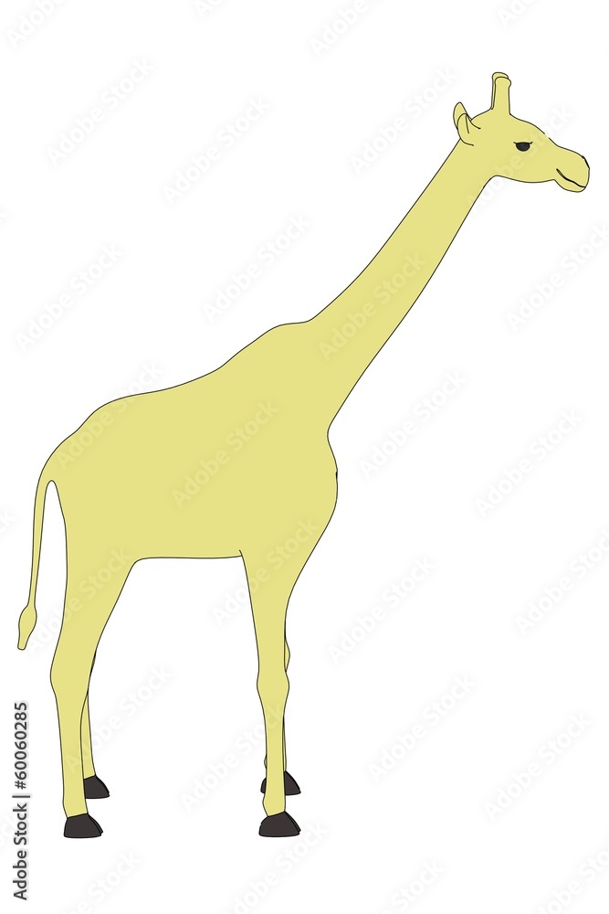 cartoon image of giraffe animal cartoon image of giraffe animal