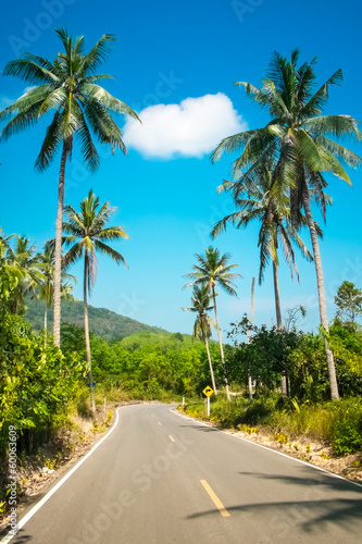Nice asphalt road with palm trees © Goinyk