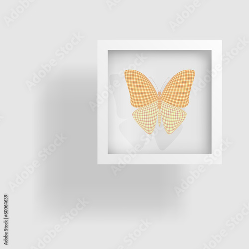 butterfly in the picture and its reflection
