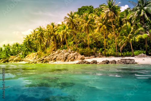 landscape of tropical island