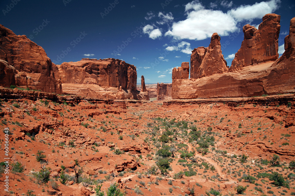 Fototapeta premium Arches National Park in Utah, USA