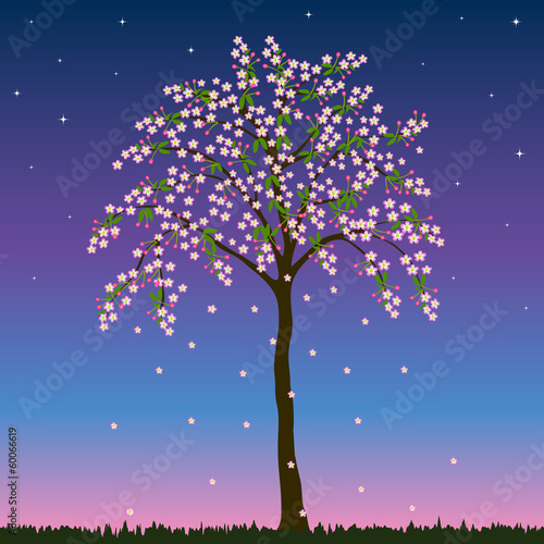 blossom tree © Tatiana Prihnenko