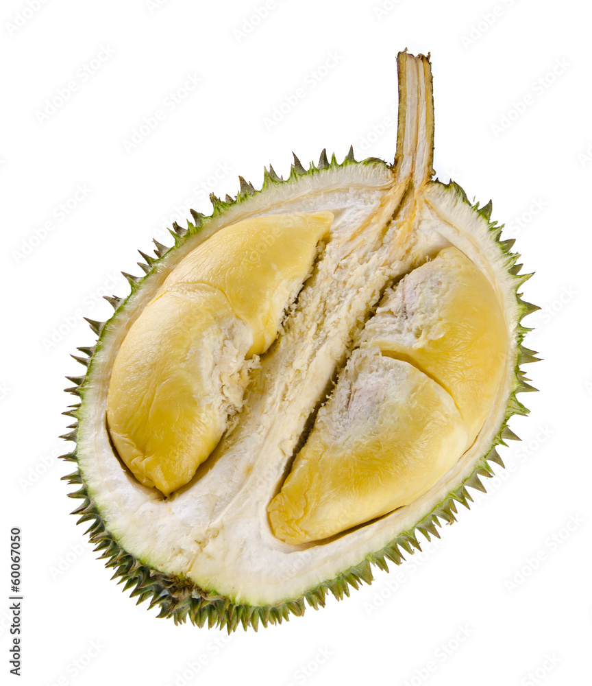 Fototapeta premium Shell (husk) of the prized durian fruit.