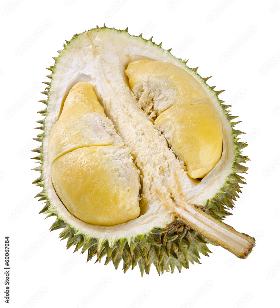 Fototapeta premium Shell (husk) of the prized durian fruit.