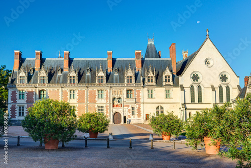 Chateau Royal de Blois, France. Old castle like palace in Loire Valley in summer.