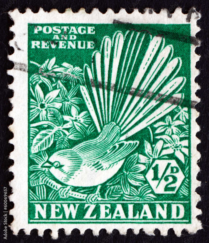 Fototapeta premium Postage stamp New Zealand 1935 Pied Fantail and Clematis