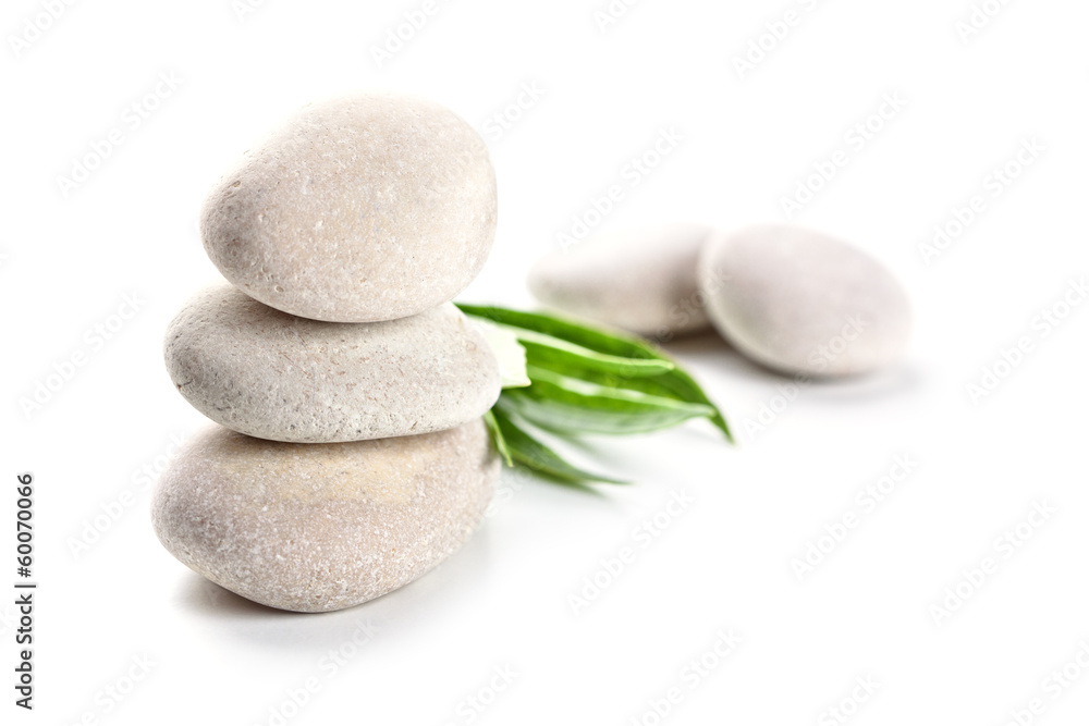 Fototapeta premium stones and green leaves
