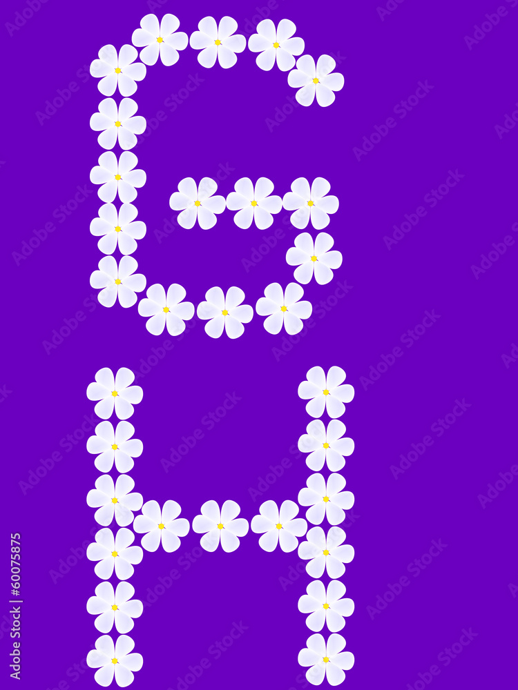 flowers letter g,h - vector