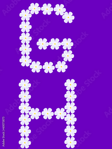flowers letter g,h - vector