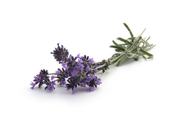 Gartenposter Lavendelblüten Lavendel  © L.Bouvier