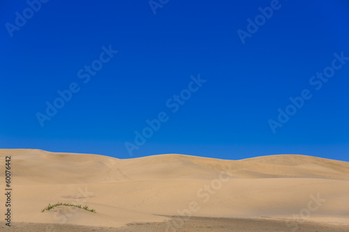 Maspalomas Duna - Desert in Canary island Gran Canaria