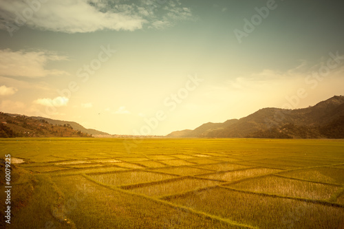 Beautiful Asian landscape © Goinyk